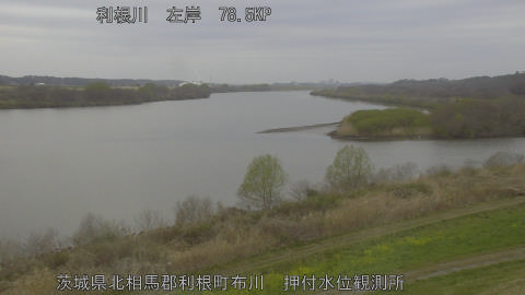 tonos2026032008_image