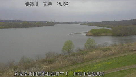 tonos2026032010_image