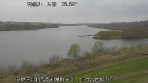 tonos2026032011_image