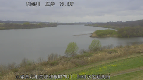 tonos2026032012_image