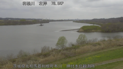 tonos2026032013_image