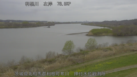 tonos2026032014_image