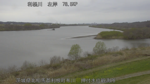 tonos2026032015_image