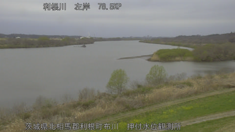 tonos2026032016_image