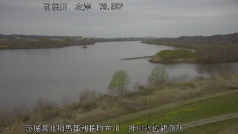 tonos2026032018_image