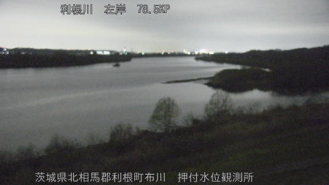 tonos2026032019_image