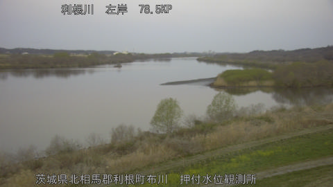 tonos2026032106_image