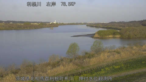 tonos2026032107_image