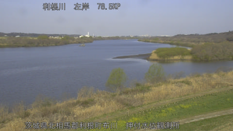 tonos2026032108_image