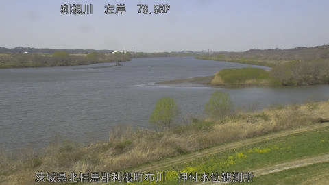 tonos2026032112_image