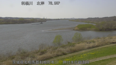 tonos2026032114_image