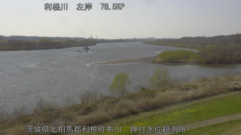 tonos2026032115_image