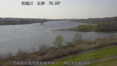 tonos2026032116_image