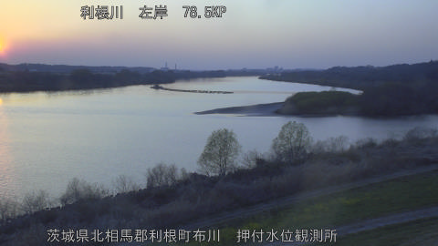 tonos2026032118_image