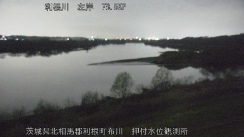 tonos2026032202_image