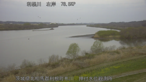 tonos2026032206_image