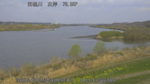 tonos2026032207_image