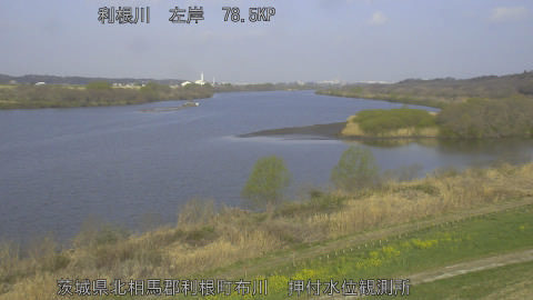 tonos2026032208_image