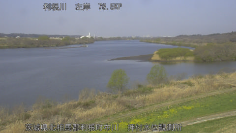 tonos2026032209_image