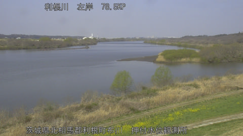 tonos2026032210_image