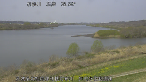 tonos2026032211_image