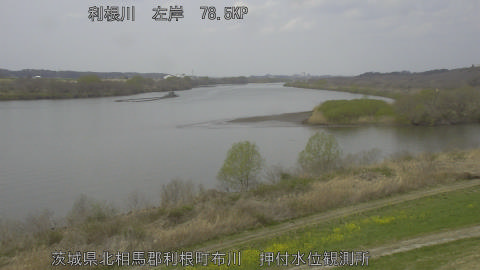 tonos2026032212_image