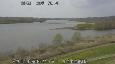 tonos2026032213_image