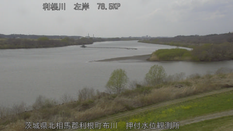 tonos2026032214_image