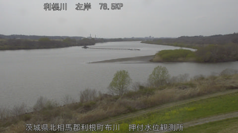 tonos2026032215_image