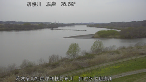 tonos2026032218_image