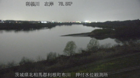 tonos2026032219_image