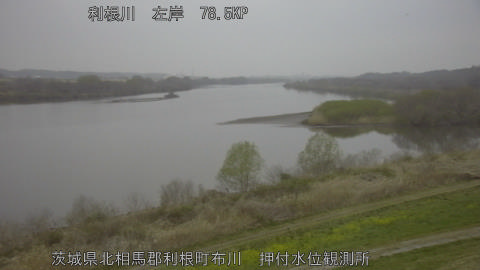 tonos2026032306_image