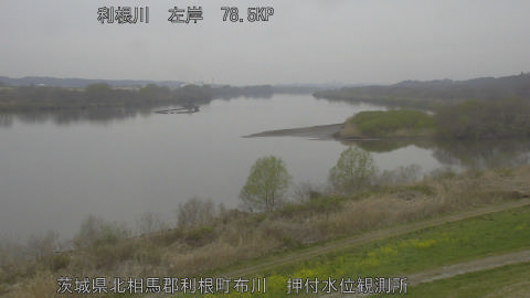 tonos2026032308_image