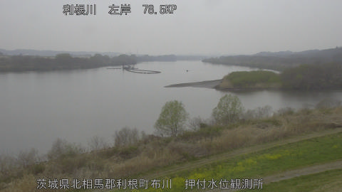 tonos2026032309_image