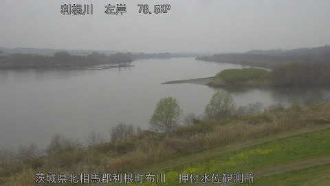 tonos2026032310_image