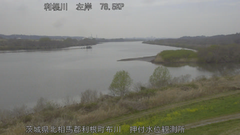 tonos2026032312_image