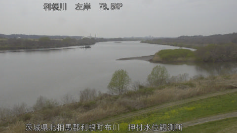 tonos2026032313_image