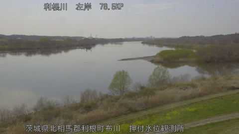 tonos2026032314_image