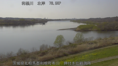 tonos2026032315_image