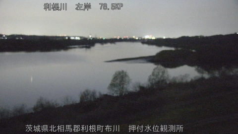 tonos2026032319_image