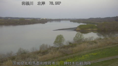 tonos2026032406_image