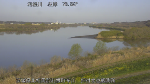 tonos2026032407_image