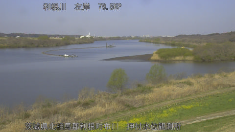 tonos2026032409_image