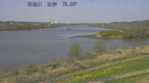 tonos2026032411_image