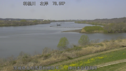 tonos2026032412_image