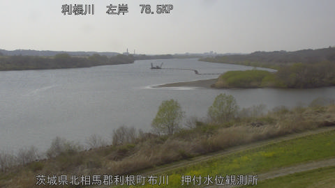 tonos2026032415_image