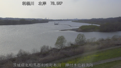 tonos2026032417_image