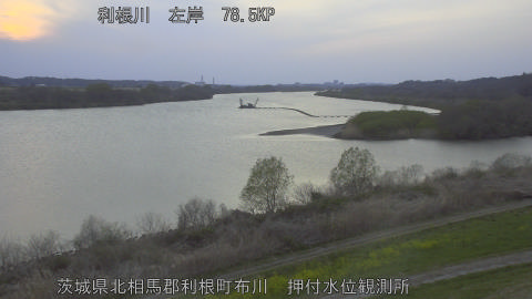 tonos2026032418_image