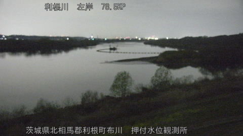 tonos2026032503_image