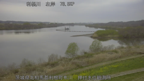 tonos2026032506_image